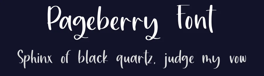 Pageberry Font by qwrtype — Decorative Font — thumbnail 2