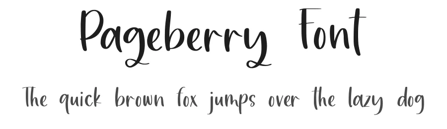 Pageberry Font by qwrtype — Decorative Font
