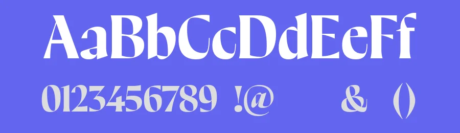 Pahin Font Family by Maksym Kobuzan — Serif Font — thumbnail 3