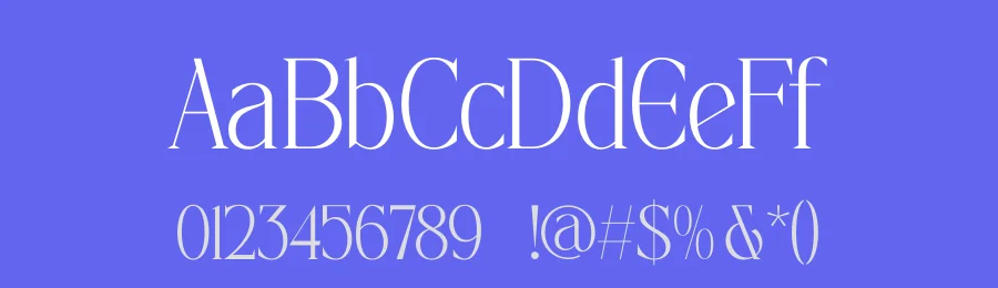 Painting Elegance – Tall Serif Font by timelesstype.co — Display Font — thumbnail 3