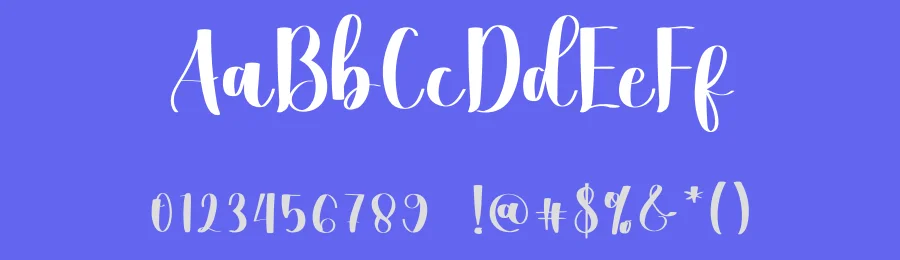 Palapa Font by freshtypeink — Script Handwritten Font — thumbnail 3