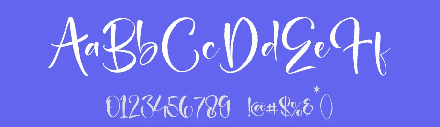 Palettia Beauty Font by letterfabric — Script Handwritten Font — thumbnail 3