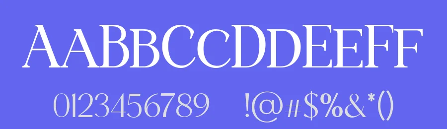 Palindrome Font by UICreative — Serif Font — thumbnail 3
