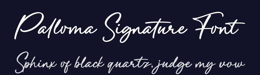 Palloma Signature Font by Basnistudio — Script Handwritten Font — thumbnail 2