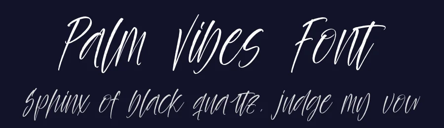 Palm Vibes Font by stylishtype.co — Script Handwritten Font — thumbnail 2