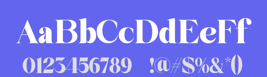 Palm Vintage Font by zaain type — Serif Font — thumbnail 3
