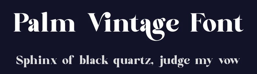 Palm Vintage Font by zaain type — Serif Font — thumbnail 2
