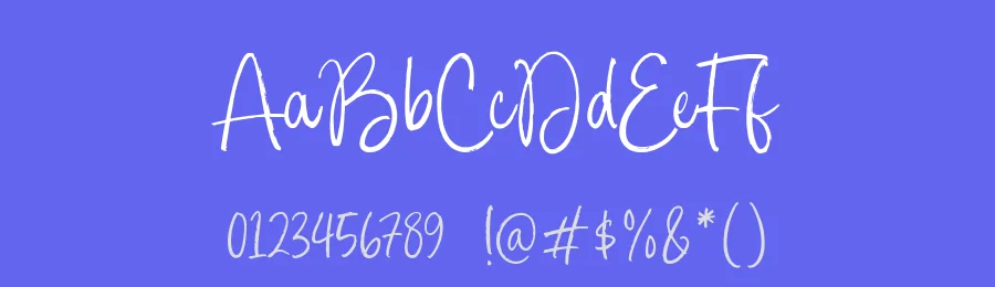 Palmera Beach Font by Timur type — Script Handwritten Font — thumbnail 3