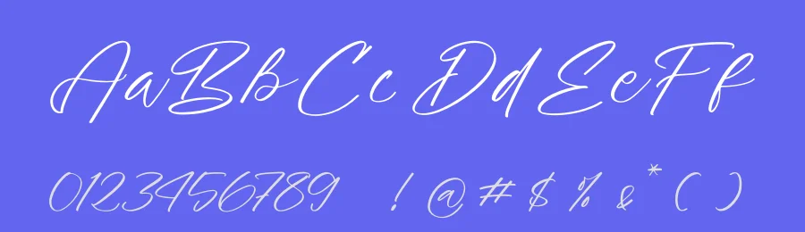 Palmeras Sherffy Script Font by Operatype.Co — Script Handwritten Font — thumbnail 3