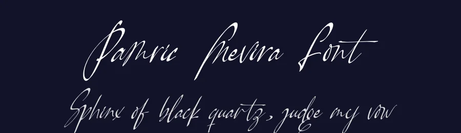 Pamric Mevira Font by letterenastudios — Script Handwritten Font — thumbnail 2