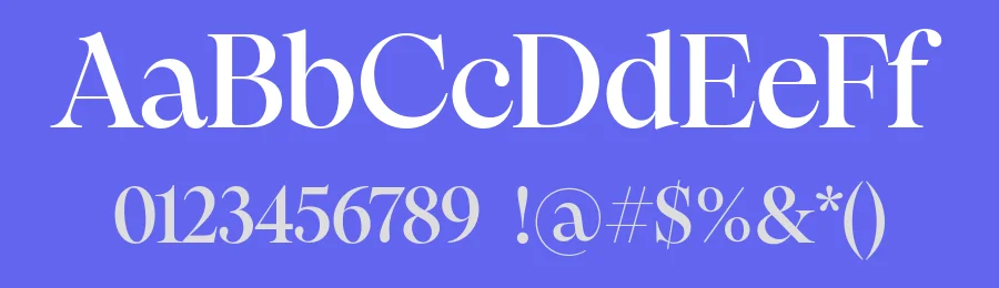 Pangaia Font Family by Pangram Pangram — Serif Font — thumbnail 3