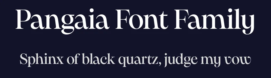 Pangaia Font Family by Pangram Pangram — Serif Font — thumbnail 2