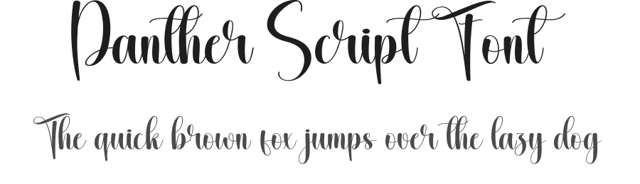 Panther Script Font by creativeletter — Script Handwritten Font