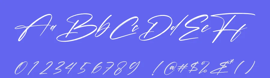 Pantherdam Signature – Signature Brush Font by letternity — Script Handwritten Font — thumbnail 3