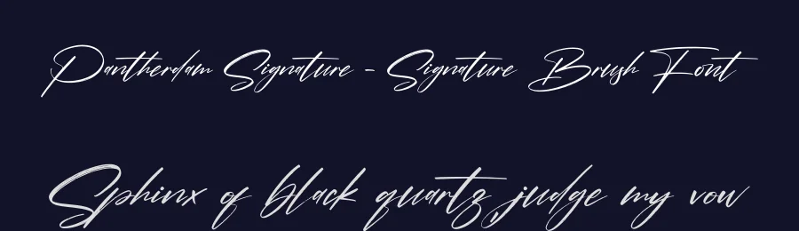 Pantherdam Signature – Signature Brush Font by letternity — Script Handwritten Font — thumbnail 2