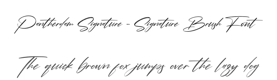 Pantherdam Signature – Signature Brush Font by letternity — Script Handwritten Font