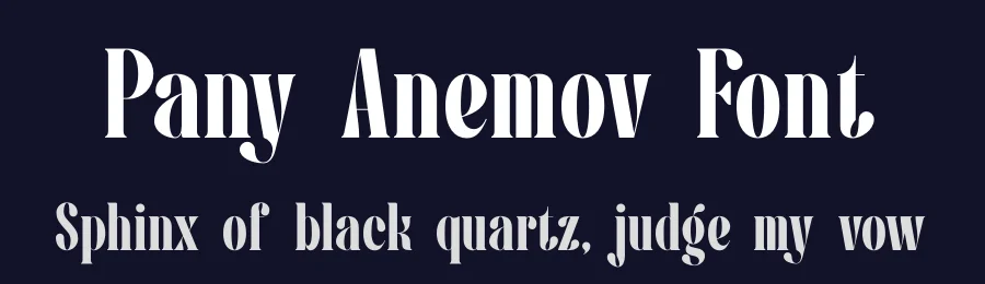 Pany Anemov Font by Denustudios — Serif Font — thumbnail 2