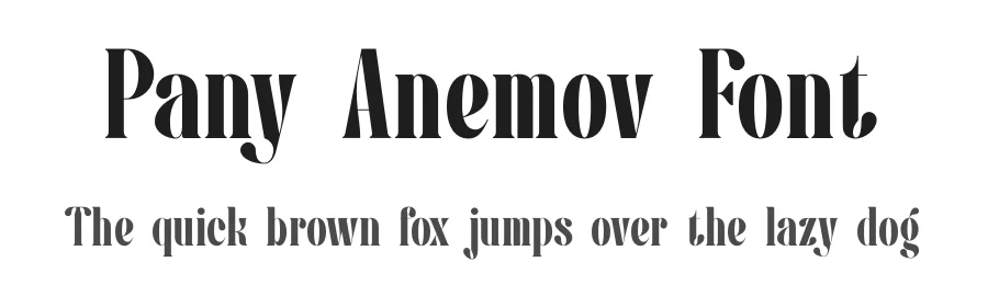 Pany Anemov Font by Denustudios — Serif Font