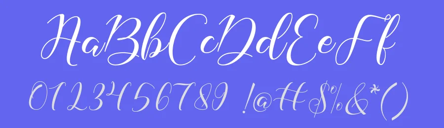 Paradisa Script Font by SlexStudio — Script Handwritten Font — thumbnail 3