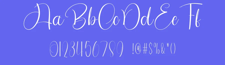Paradise Bubble – Handwritten Script Font by freshtypeink — Script Handwritten Font — thumbnail 3