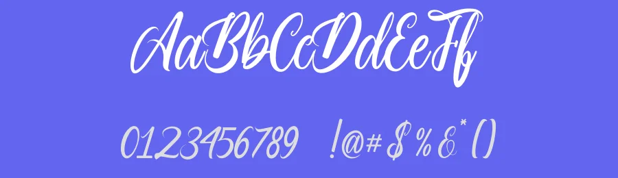 Paradise Calligraphy Font by avenilettertype — Script Handwritten Font — thumbnail 3