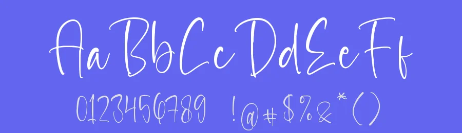 Paradise Daybreak Script Font by stylishtype.co — Script Handwritten Font — thumbnail 3