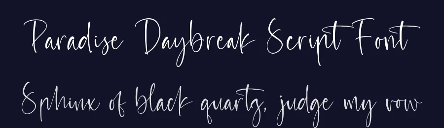 Paradise Daybreak Script Font by stylishtype.co — Script Handwritten Font — thumbnail 2