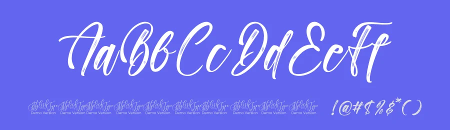 Paradise Holistay – Bold Brush Font by stylishtype.co — Script Handwritten Font — thumbnail 3