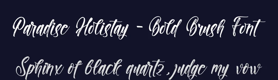 Paradise Holistay – Bold Brush Font by stylishtype.co — Script Handwritten Font — thumbnail 2