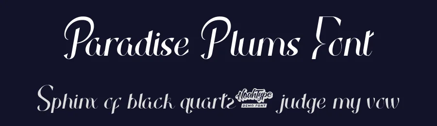 Paradise Plums Font by noahtype — Script Handwritten Font — thumbnail 2