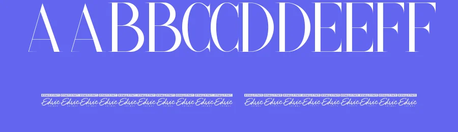 Paradise Thin Font by edricstudio — Serif Font — thumbnail 3