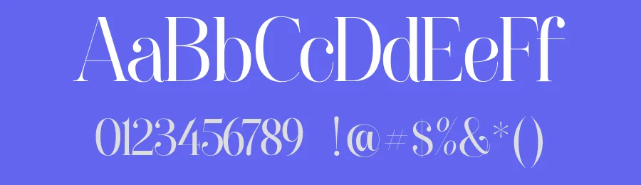 Paradizo Serif Font by Surplus Type Co — Serif Font — thumbnail 3