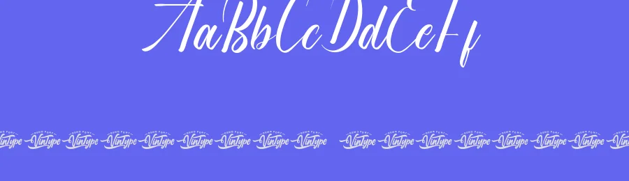 Paraesthetic Font by VinType — Script Handwritten Font — thumbnail 3