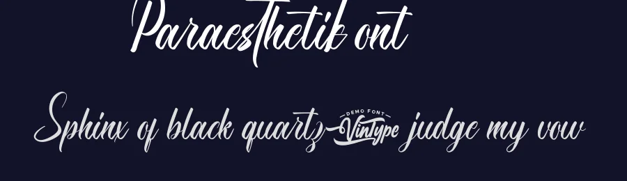 Paraesthetic Font by VinType — Script Handwritten Font — thumbnail 2