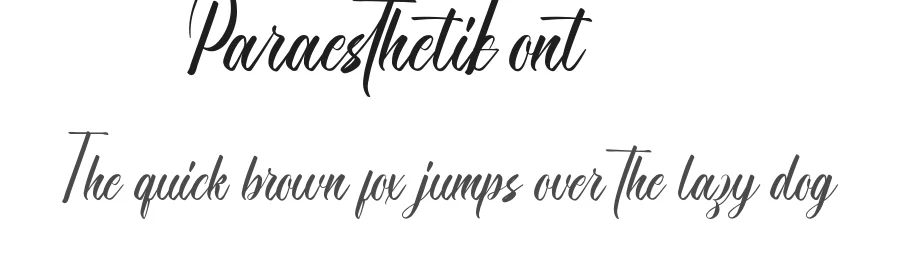 Paraesthetic Font by VinType — Script Handwritten Font