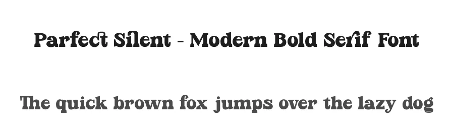 Parfect Silent – Modern Bold Serif Font by timelesstype.co — Display Font