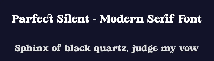 Parfect Silent – Modern Serif Font by timelesstype.co — Display Font — thumbnail 2