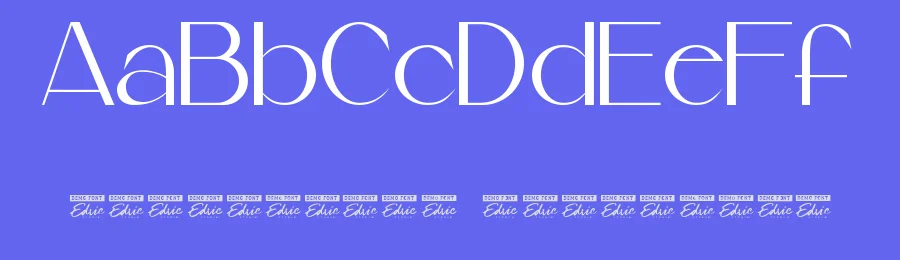 Partner Beauty Font by edricstudio — Display Font — thumbnail 3