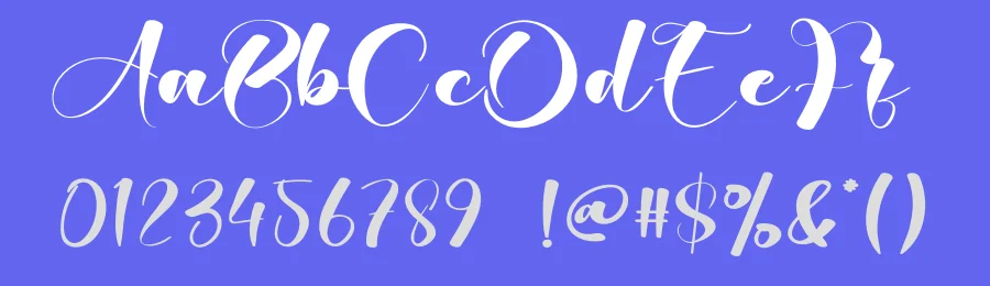 Partner Monica Script Font by creativeletter — Script Handwritten Font — thumbnail 3