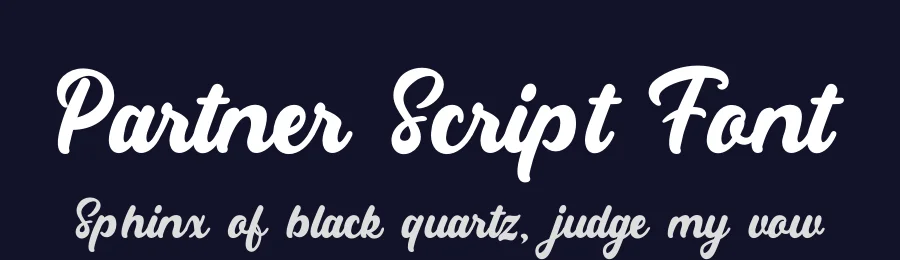 Partner Script Font by Rantautype — Script Handwritten Font — thumbnail 2