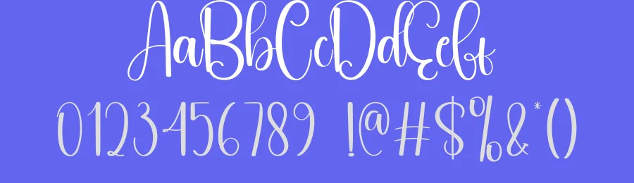 Partner Script Typeface by andikastudio — Script Handwritten Font — thumbnail 3