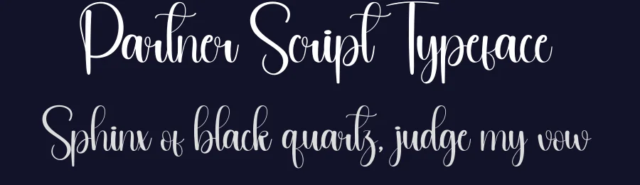 Partner Script Typeface by andikastudio — Script Handwritten Font — thumbnail 2