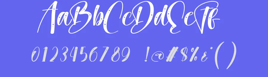 Party Rustic Script Font by creativeletter — Script Handwritten Font — thumbnail 3
