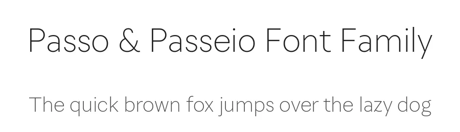 Passo & Passeio Font Family by Fabio Haag Type — Decorative Font