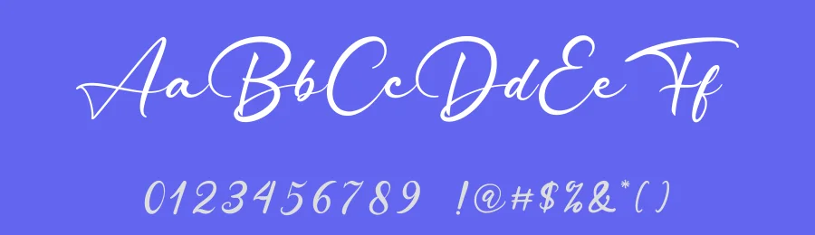Patrigan Script Font by Basnistudio — Script Handwritten Font — thumbnail 3