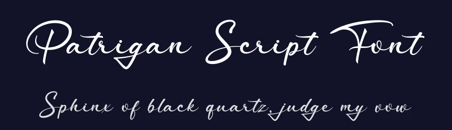 Patrigan Script Font by Basnistudio — Script Handwritten Font — thumbnail 2