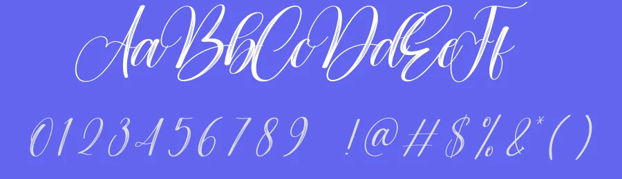 Pattern Calligraphy Font by creativeletter — Script Handwritten Font — thumbnail 3