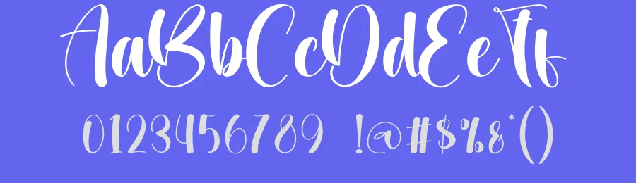 Pattern Kitchen Script Font by creativeletter — Script Handwritten Font — thumbnail 3