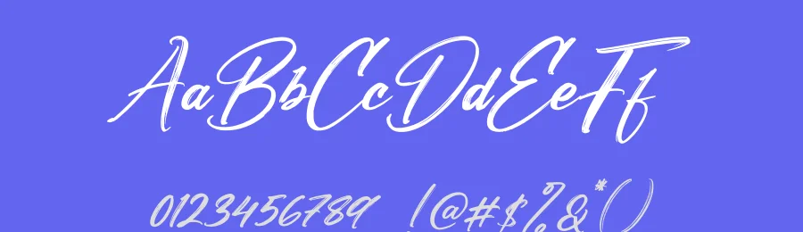 Patterson Southern Font by perspectype — Script Handwritten Font — thumbnail 3