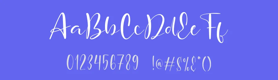 Pavethiq Font by Dhabee — Serif Font — thumbnail 3